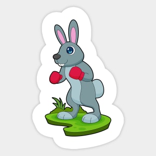 Rabbit Boxer Boxing gloves Boxing Sticker